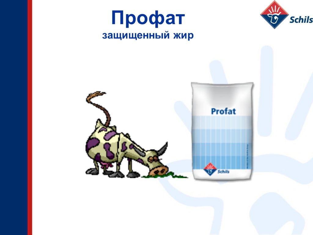 Профат – захищений жир для ВРХ