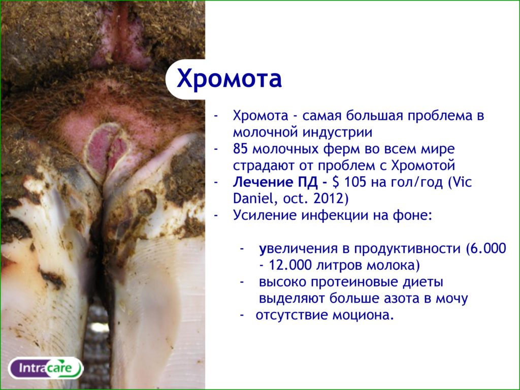 Intra Ванна