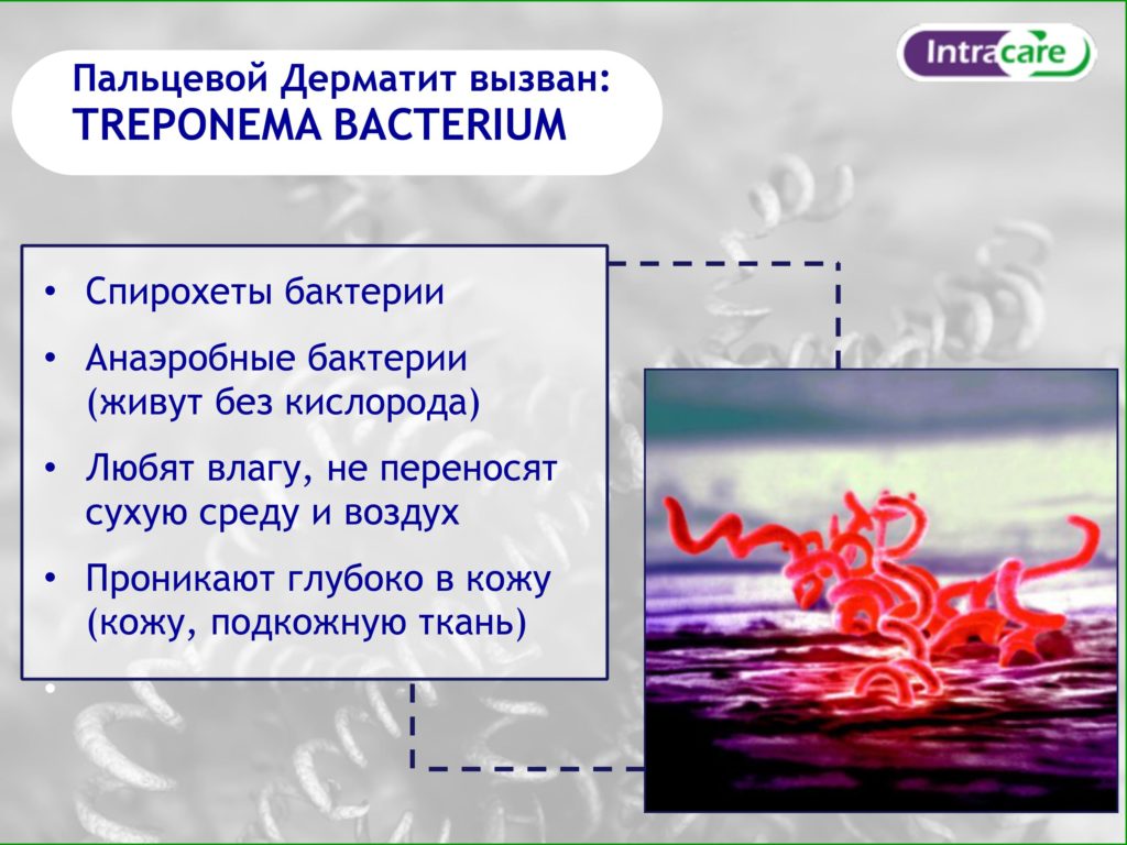 Intra Ванна