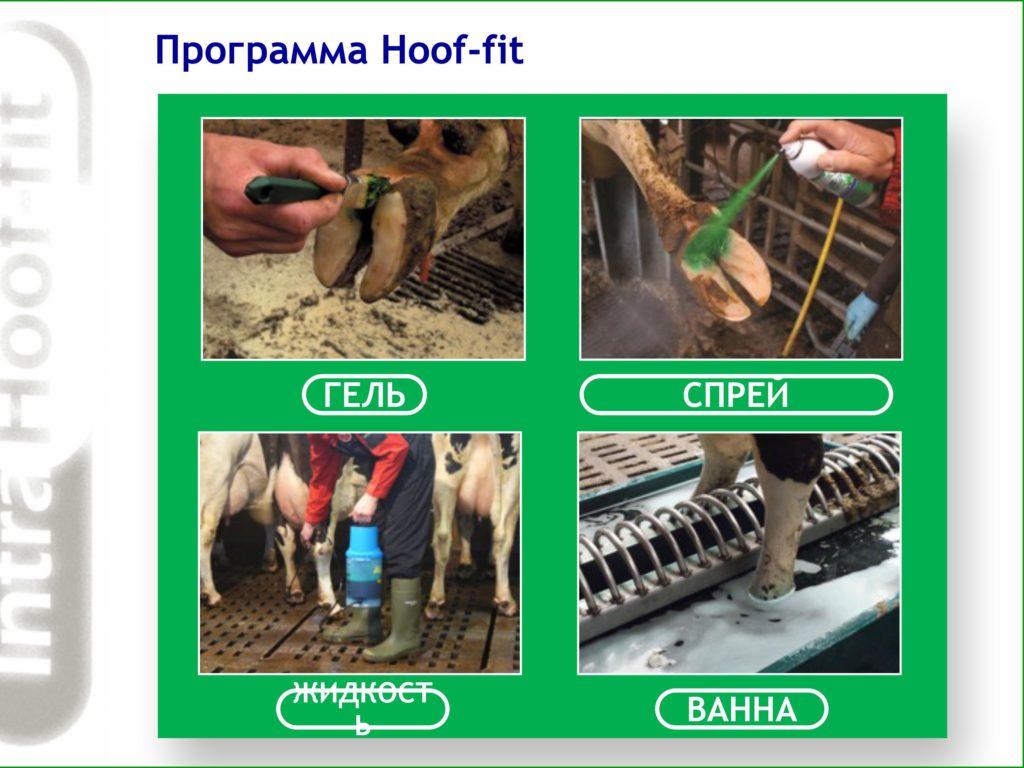 Intra Ванна
