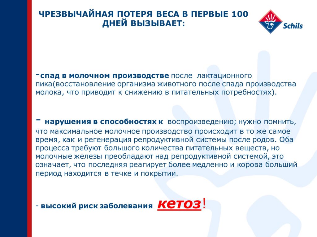 Профат – захищений жир для ВРХ