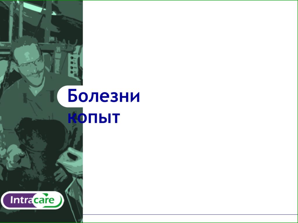 Intra Ванна