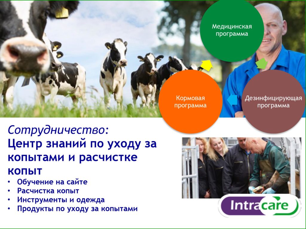 Intra Ванна