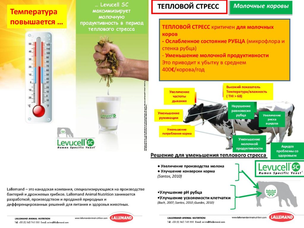 Levusell SC 10ME