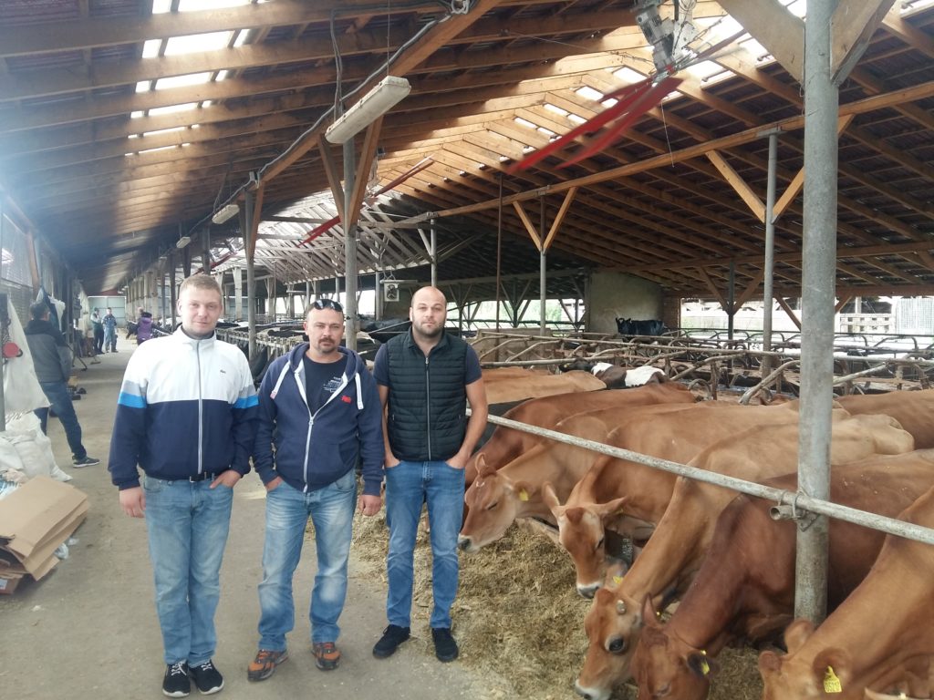 Mostyskoy Milk Ltd.
