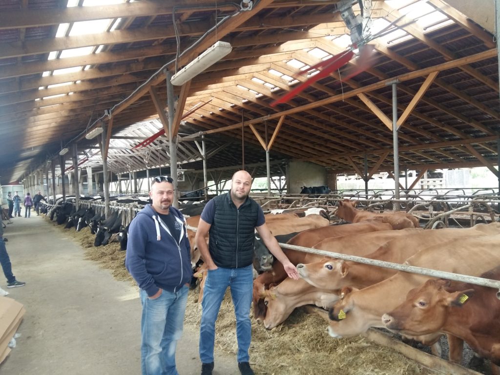 Mostyskoy Milk Ltd.