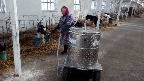 СФГ Світанок