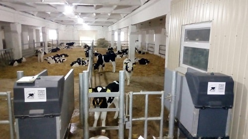 PSP Rodina system of automatic feeding