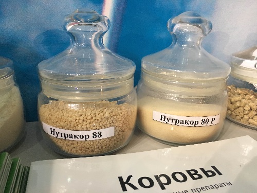 Х Ювілейний міжнародний молочний конгрес