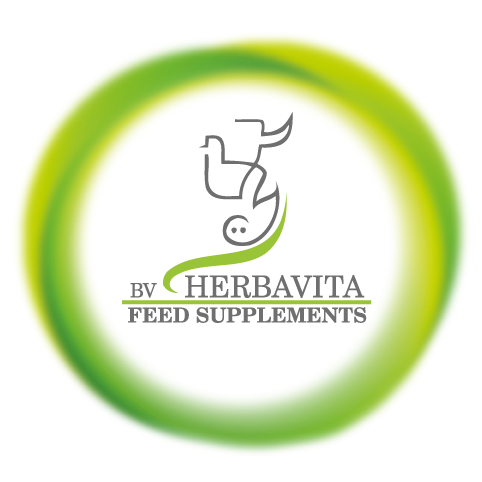 Herbavita