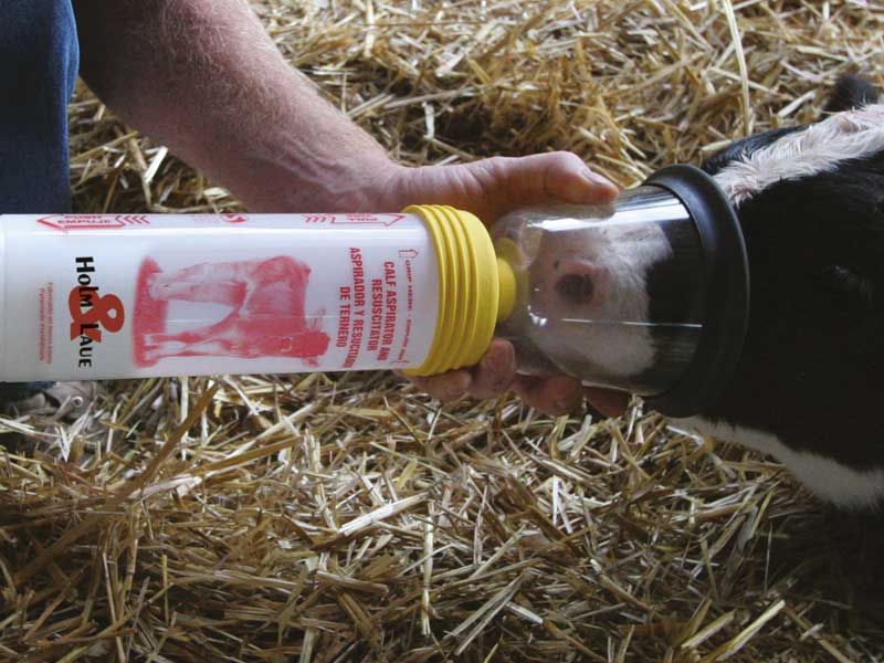 Reanimator for calves (Calfwatl)