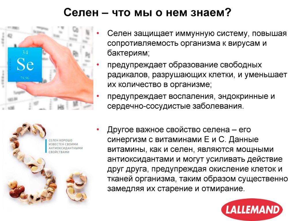 ALCOCELL R397