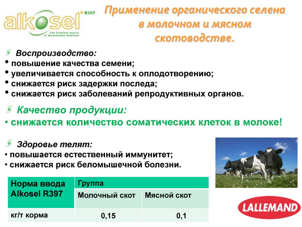 ALCOCELL R397