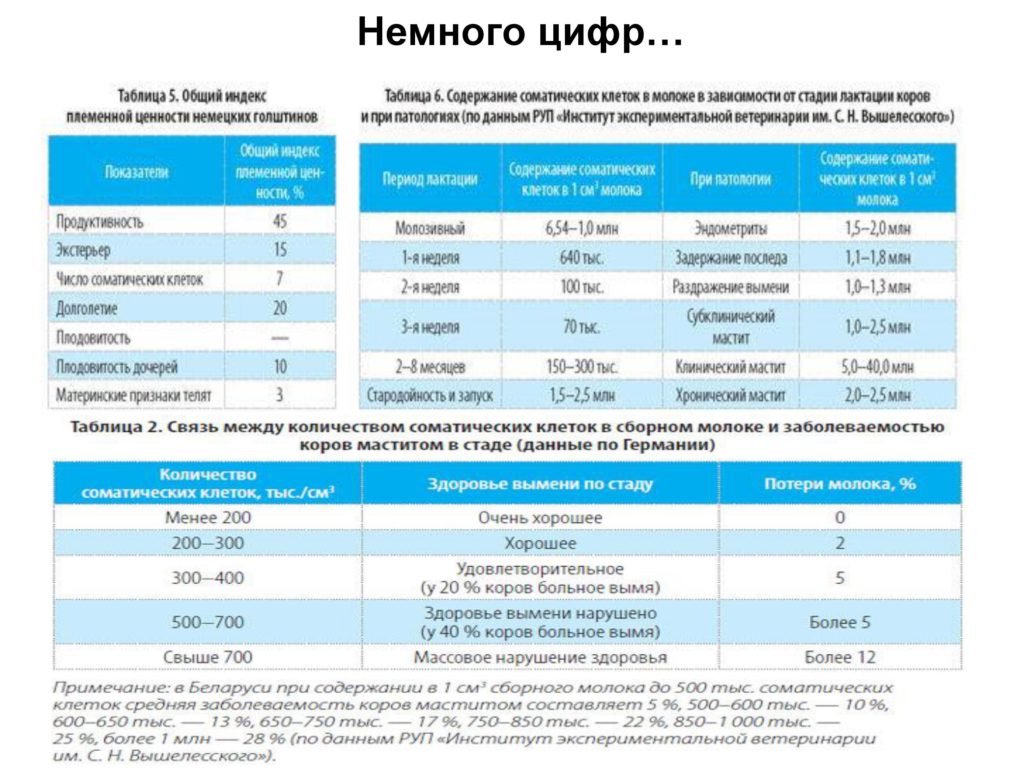 ALCOCELL R397
