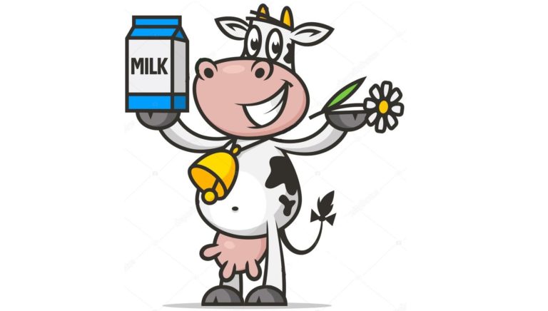 Lactating Cows