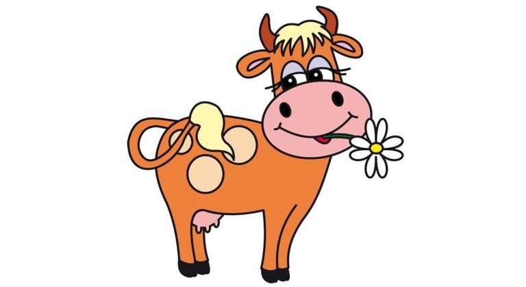 Dry cows
