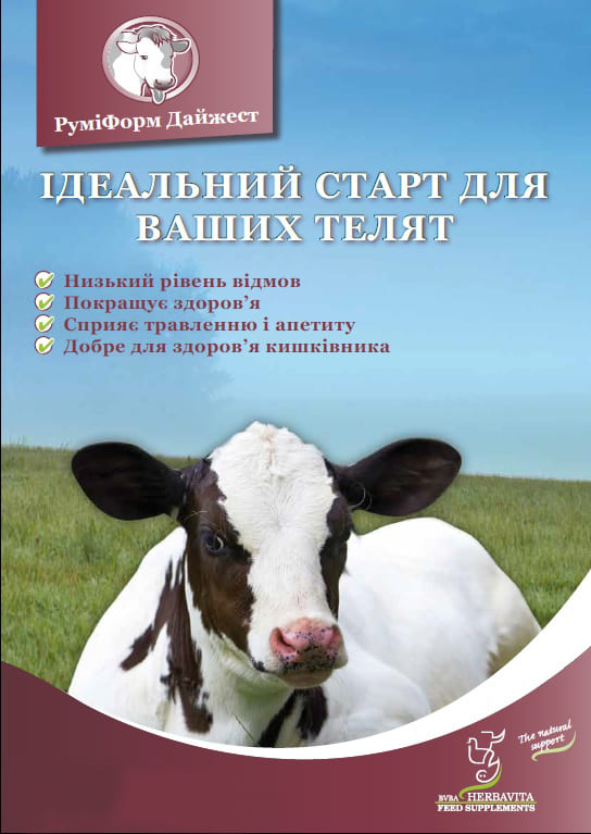 Руміформ Дайджест