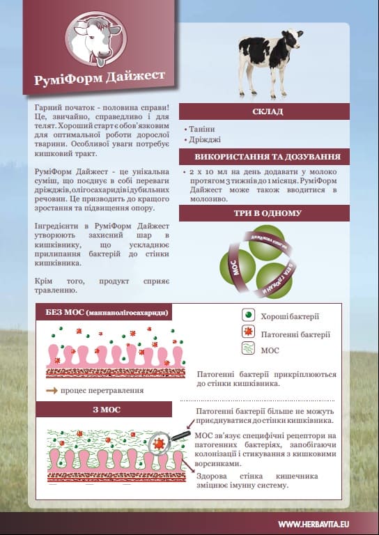 Руміформ Дайджест