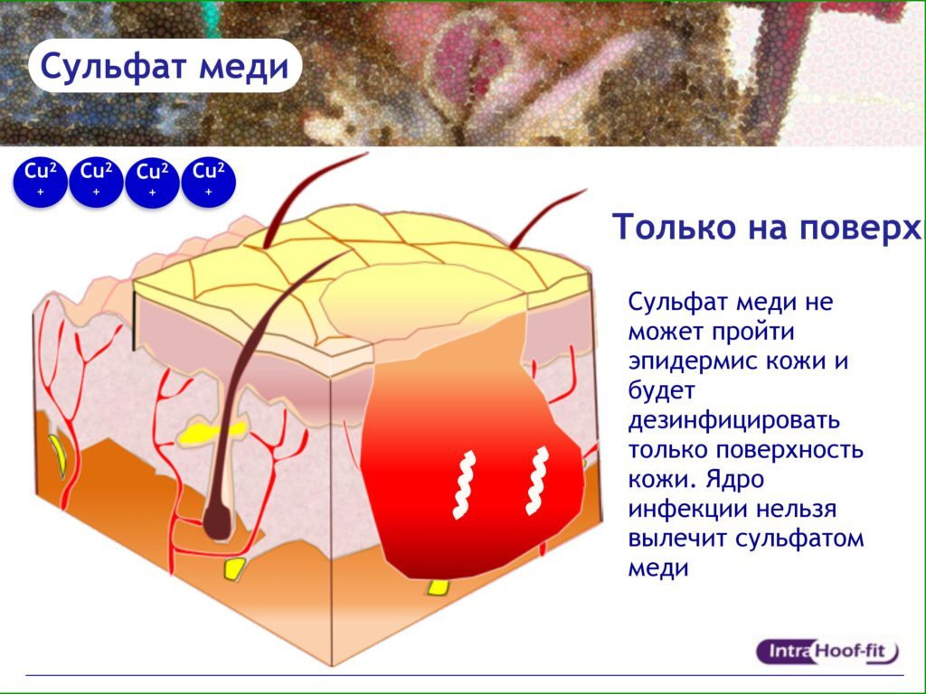 Спрей Intra Hoof-fit