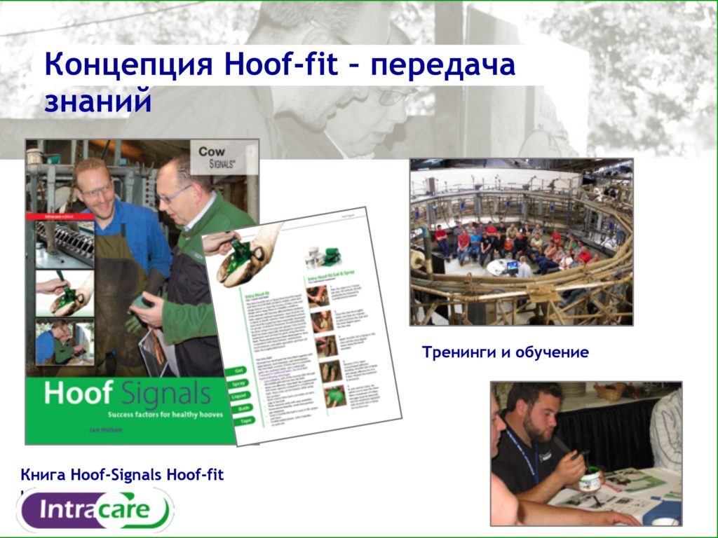 Спрей Intra Hoof-fit