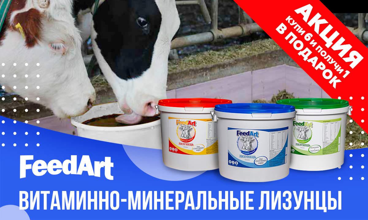 Акция FeedArt!