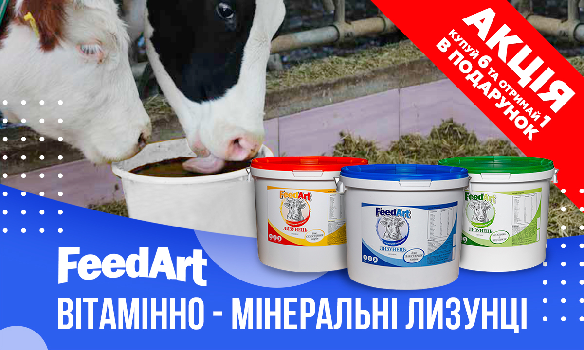 Акція FeedArt!