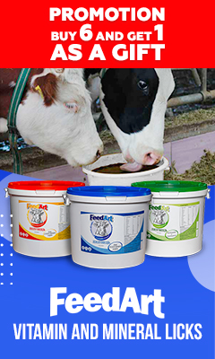 FeedArt promotion!