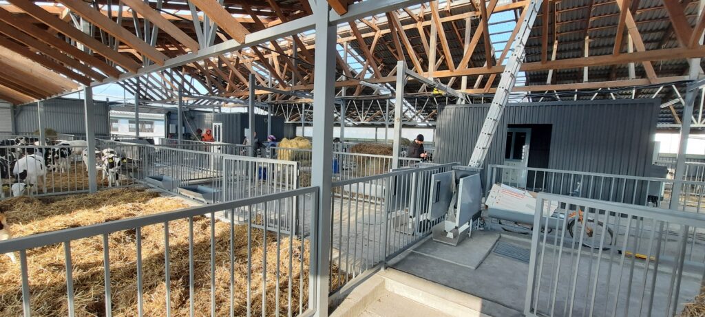 Встановлення автоматичної годівниці в ТзОВ Бучачагрохлібпром