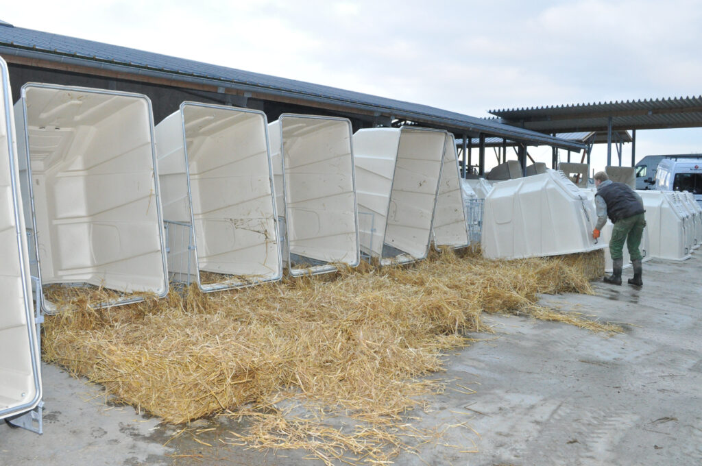 Будинок для телят TwinHutch з FlexyFence Eco