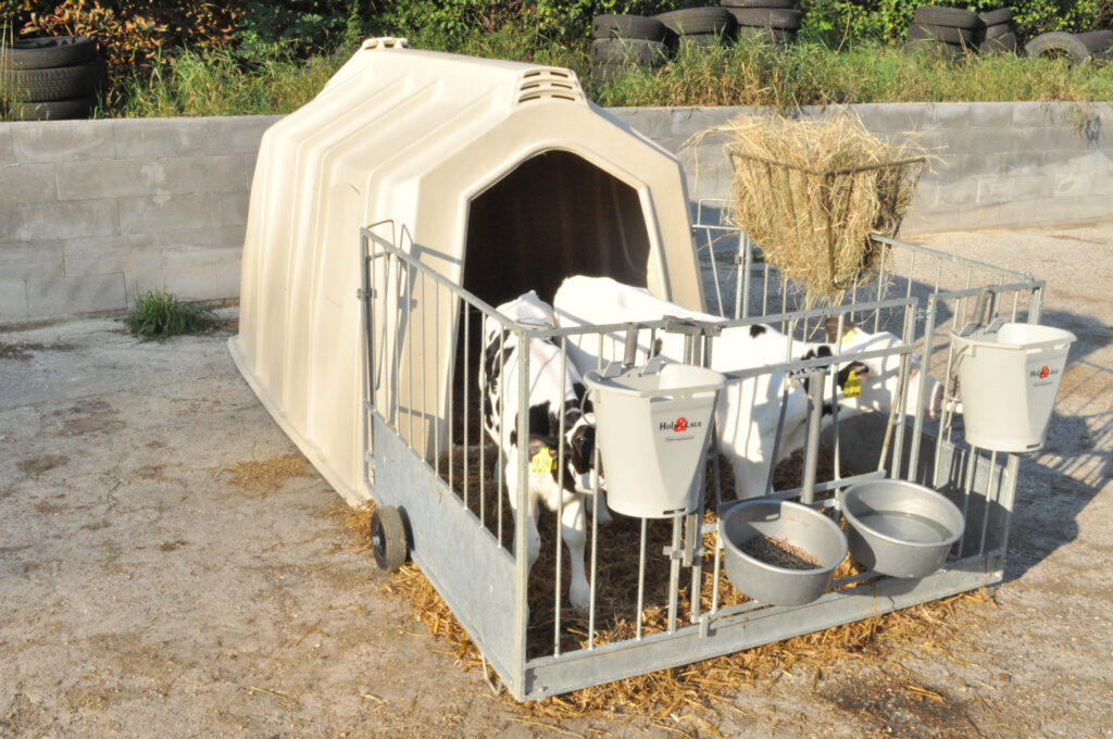 Будинок для телят TwinHutch з FlexyFence Eco