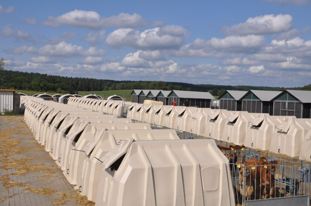 Будинок для телят TwinHutch з FlexyFence Eco