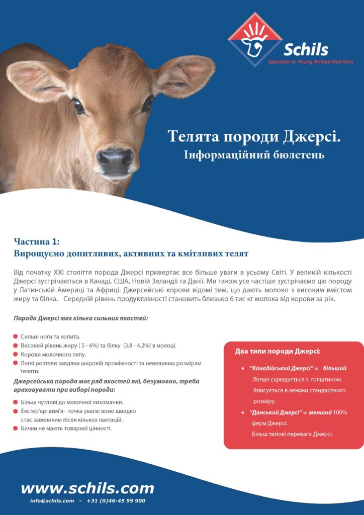 Телята породи Джерсі. Інформаційний бюлетень