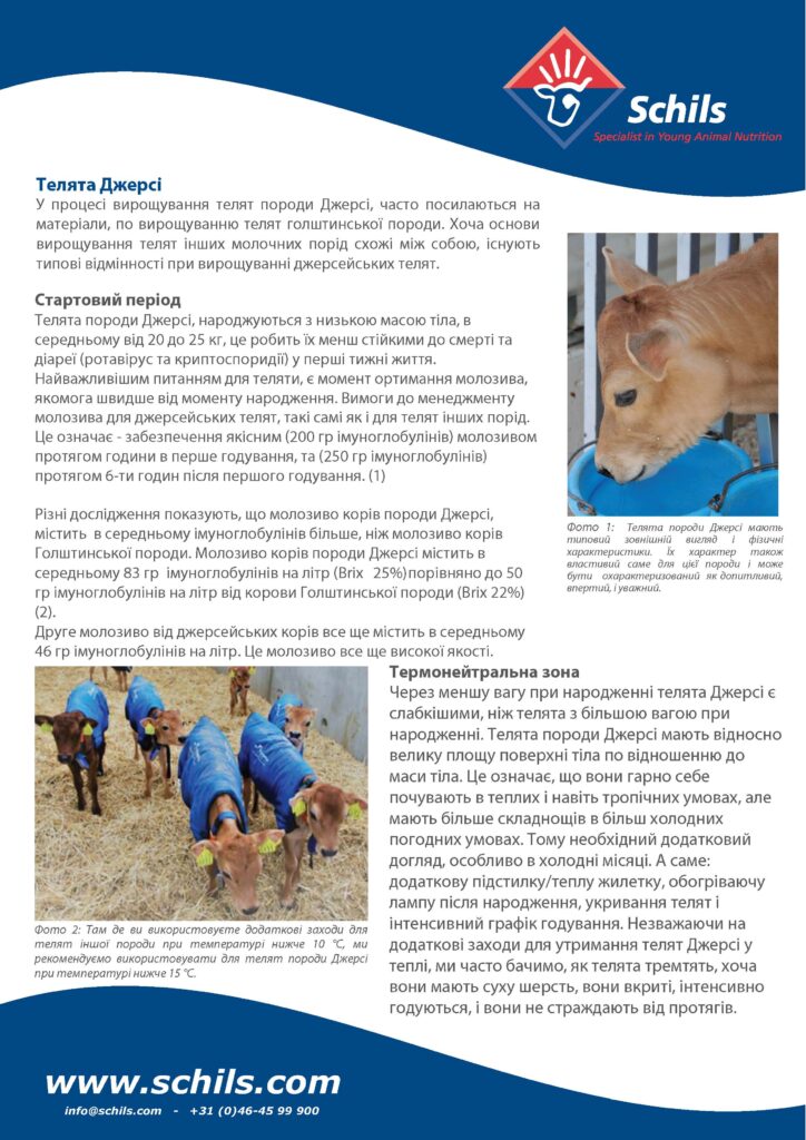 Телята породи Джерсі. Інформаційний бюлетень