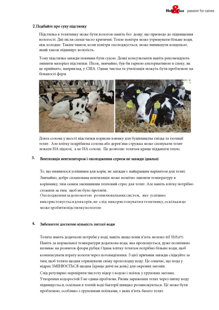 Телята і тепловий стрес