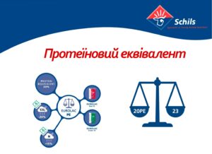 Протеїновий еквівалент.