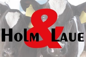 Довгоочікувана зустріч з нашими друзями та партнерами Holm & Laue.